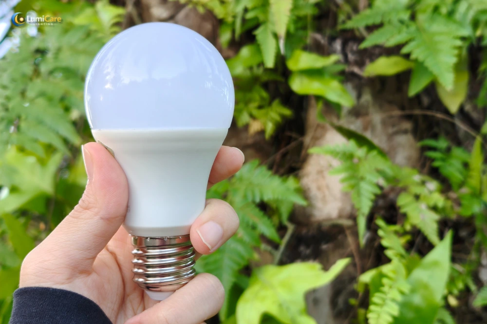 Sự thật về những chiếc b&oacute;ng đ&egrave;n gi&aacute; rẻ
